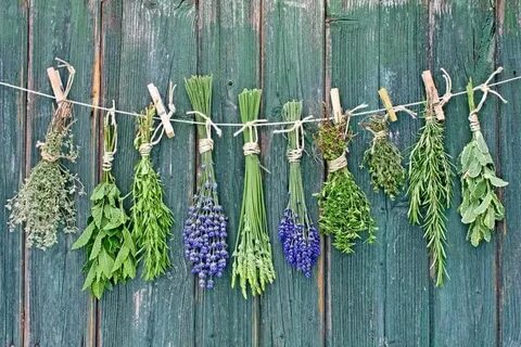 سبزی خشک سبز پر رنگ با کیفیت صادراتی